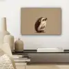 Egel - Snuitje - Bruin - Stekels canvas 2cm klein -sfeer6