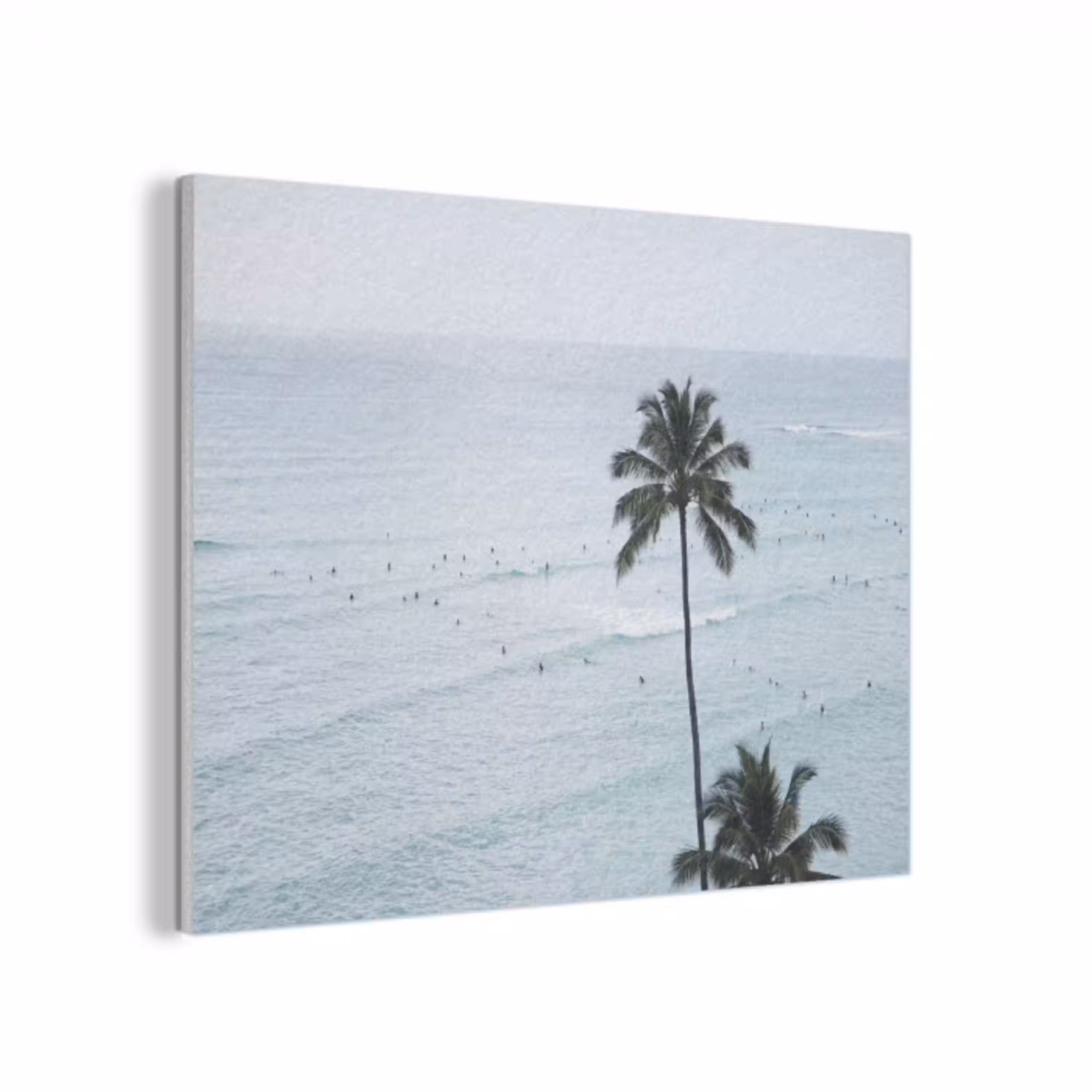 Oceaan - Palmbomen - Surfers PET vilt klein -3d