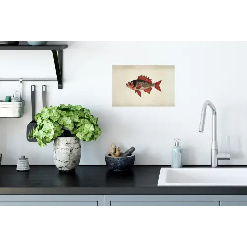 Schubben - Rood - Vis - Vinnen Muursticker klein -keuken