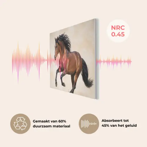 Paard - Galop - Energie PET vilt klein -USP_NL