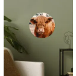 Koe- Schotse hooglander - Hoorns - Bruin - Landschap Wandcirkel behangsticker klein -sfeer2