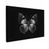 Vlinder - Grijs - Mysterieus canvas 2cm klein -z3d