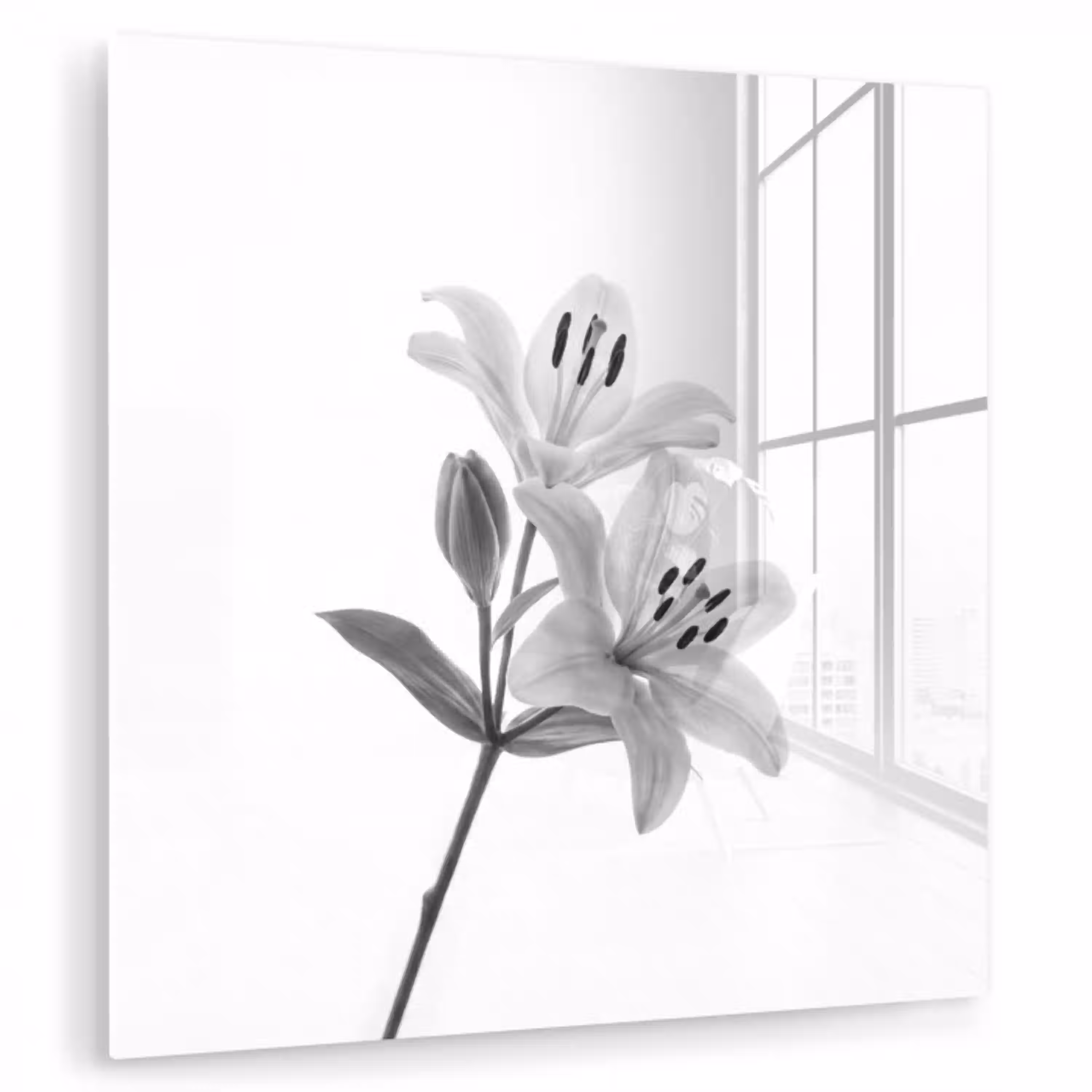 Lelies - Elegant - Zwart - Wit plexiglas 5mm klein -zzzproduct_nieuw