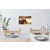 Schotse hooglander - Zon - Horizon - Koe - Dieren Muursticker klein -eettafel