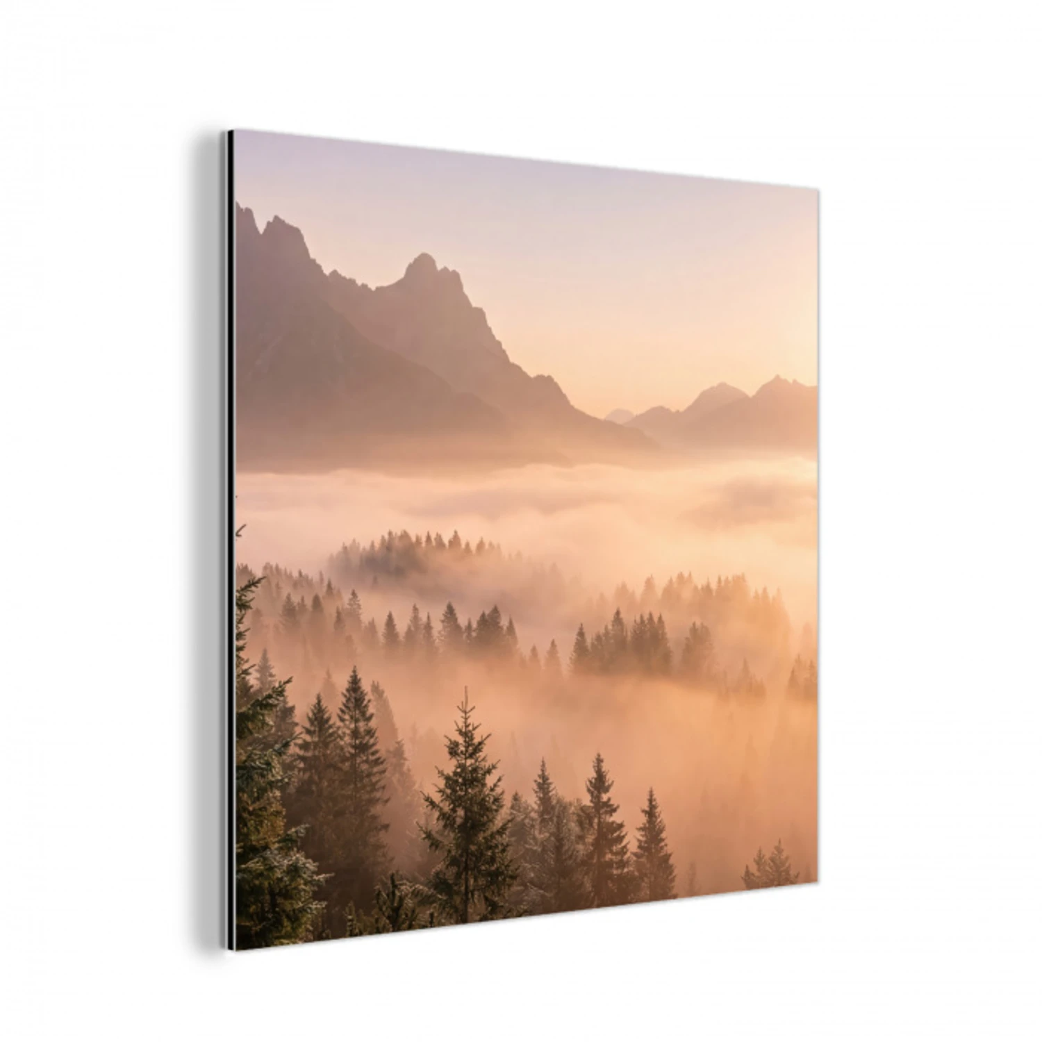 Zonlicht - Mist - Bergen - Bomen aluminium wit klein -3d