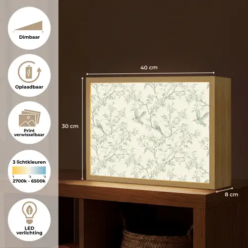 Klassiek - Vogels - Groen Light Box met batterij (Wandlamp) middel 907 -USP_websiteoverzichtNL