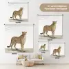 Luipaard - Dieren - Witte achtergrond - Kinderen - Jongens - Meisjes Wandkleed katoen klein -tsfeer8_DE