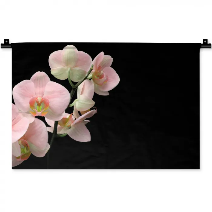 Orchidee - Bloemen - Roze - Stilleven - Flora Wandkleed katoen klein -zz3d
