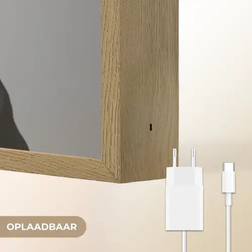 Coltrui - Hond - Bril - Mok Light Box met batterij (Wandlamp) middel -USP_websiteoplaadbaarNL