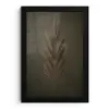 Tak - Pluimgras - Donkerbruin fotolijst zwart zonder passe partout klein -3d