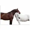 Paard - Modern - Balans poster papier klein -3d