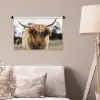 Schotse Hooglander -  Koe - Gras - Dieren - Natuur Wandkleed katoen klein -sfeer4