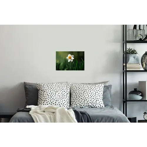 Narcis - Bloem - Wit - Grassprieten Muursticker klein -slaapkamer