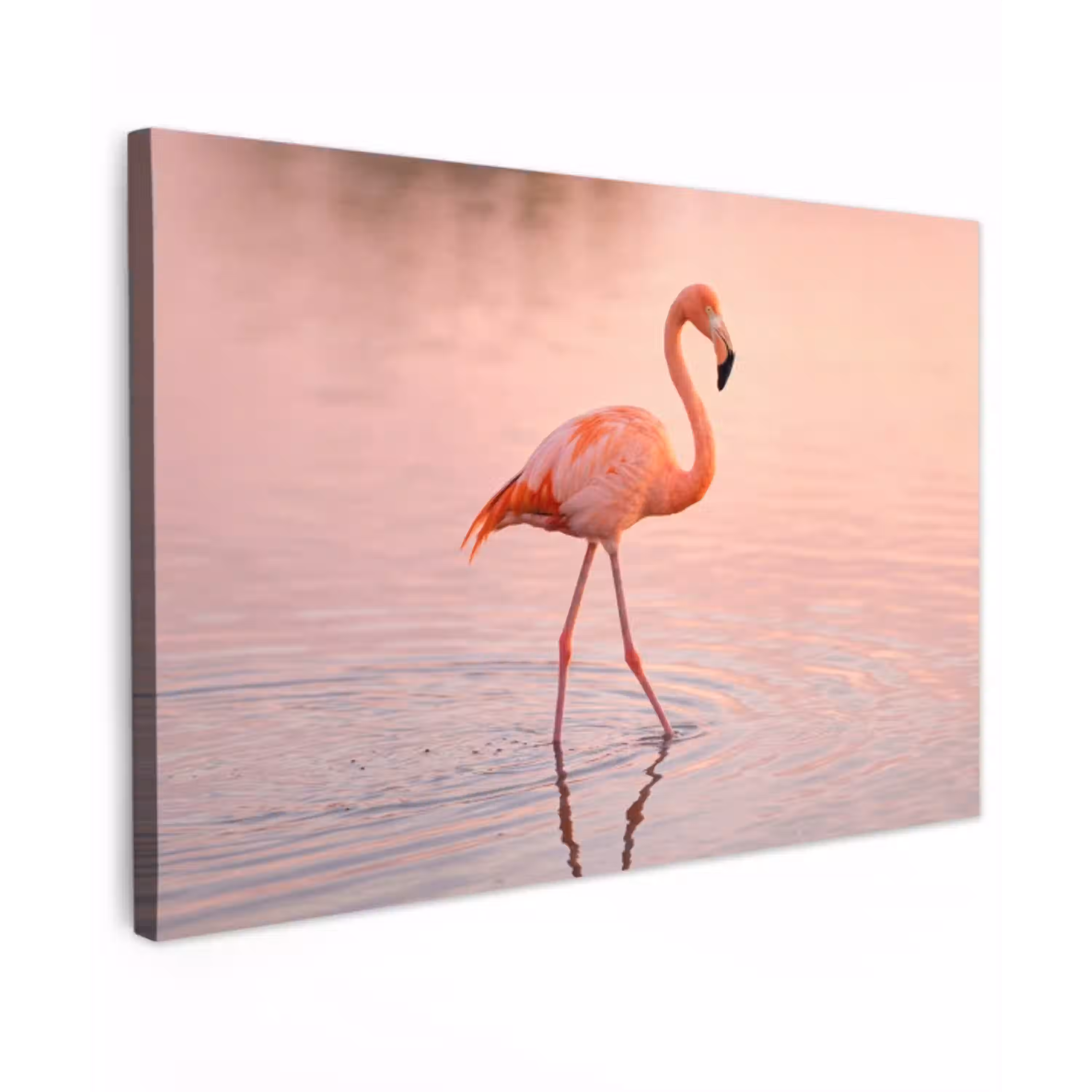 Flamingo - Water - Roze Tuinposter op houten frame 2 cm dik klein -3d