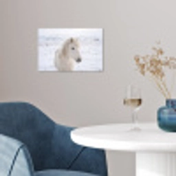 Paard - Kop - Winter - Dieren - Wit poster papier klein -sfeer3