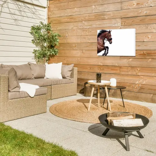 Paard - Springen - Modern Tuinposter op houten frame 2 cm dik klein -sfeer2