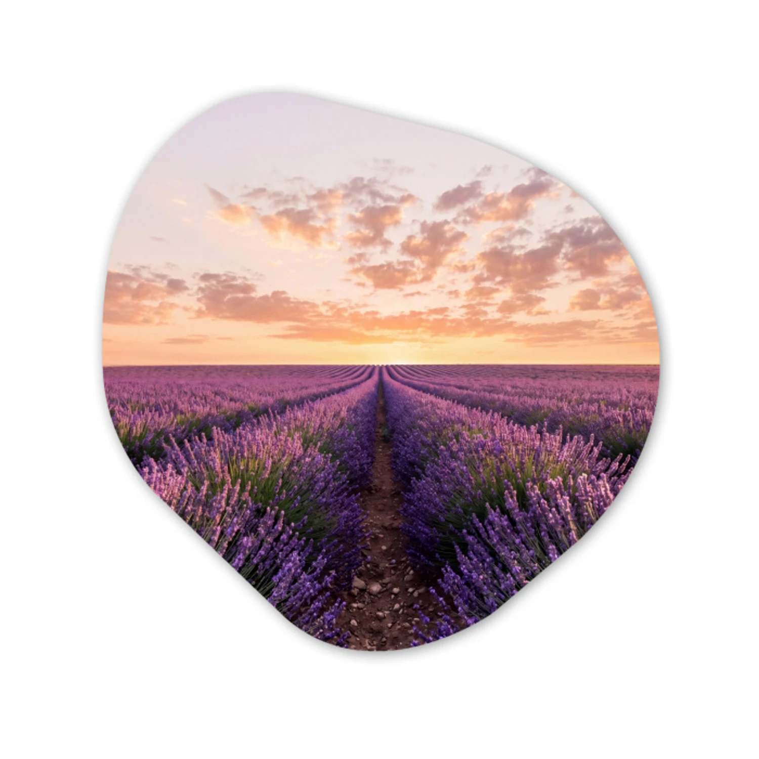 Landschap - Lavendelveld - Paars Wandcirkel Organisch Aluminium middel -3d