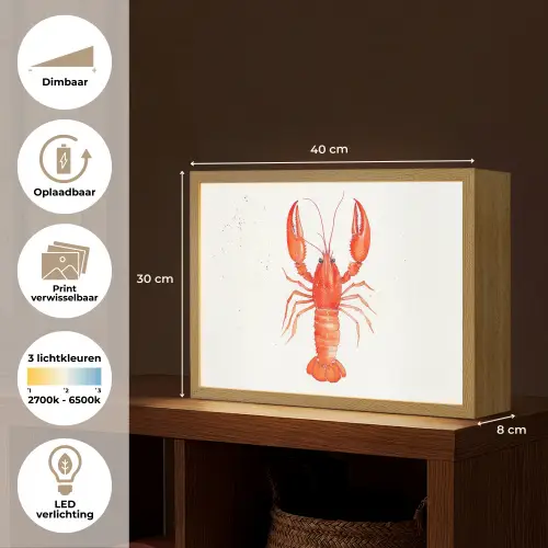 Kreeft - Waterverf - Aquarel - Oranje Light Box met batterij (Wandlamp) middel -USP_websiteoverzichtNL