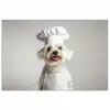 Hond - Wit - Kok poster papier klein -3d