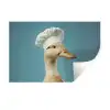 Eend - Koksmuts - Cute - Vogel Muursticker klein -3d