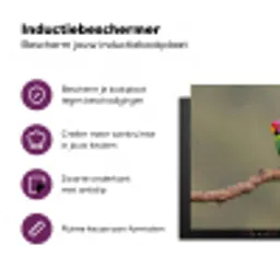 Papagaai - Tak - Natuur - Kleurrijk Inductie beschermer vinyl 3mm klein -zzzzzzz-cc-usp