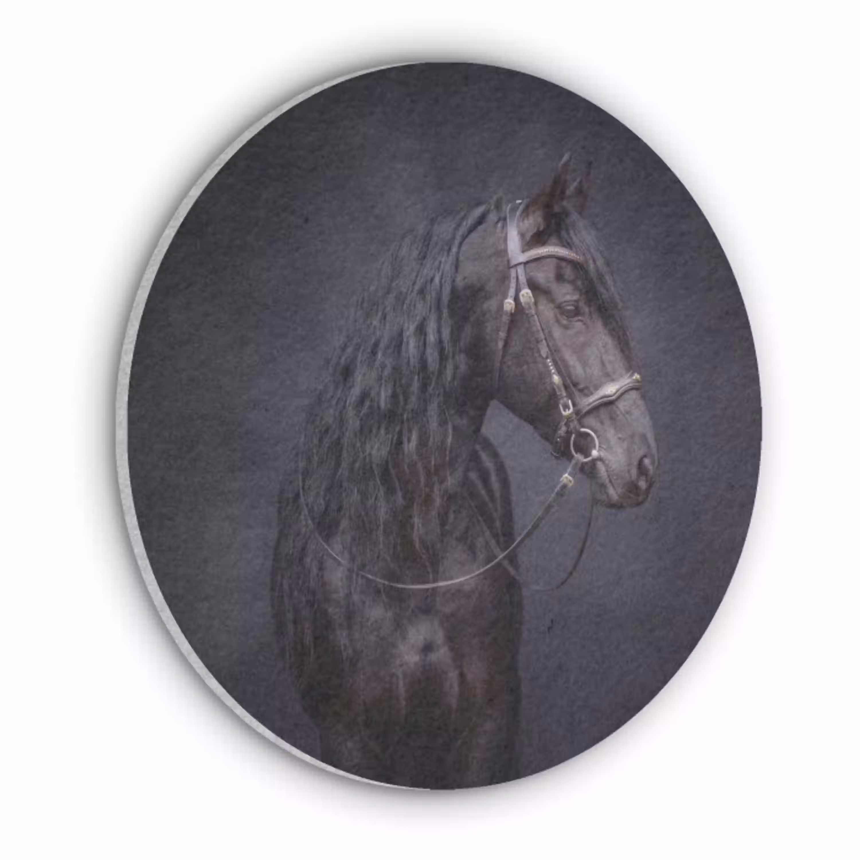 Portret - Paard - Donker Akoestische PET Vilt - Rond klein -3d