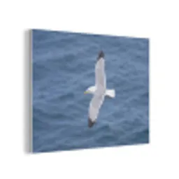 Zeemeeuw - Oceaan - Blauw PET vilt klein -3d