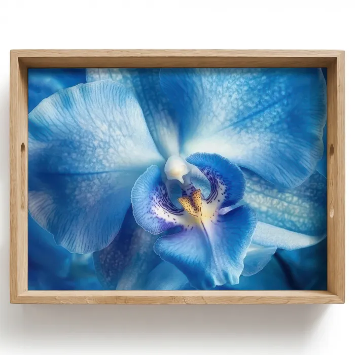 Blauw - Orchidee - Elegeant Dienblad Rechthoek middel -z3d_shopping