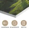 Bomen - Bos - Mos - Planten - Zon - Natuur PET vilt klein -closeup_NL