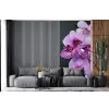 Orchidee - Bloemen - Roze - Flora fotobehang vinyl groot -bank