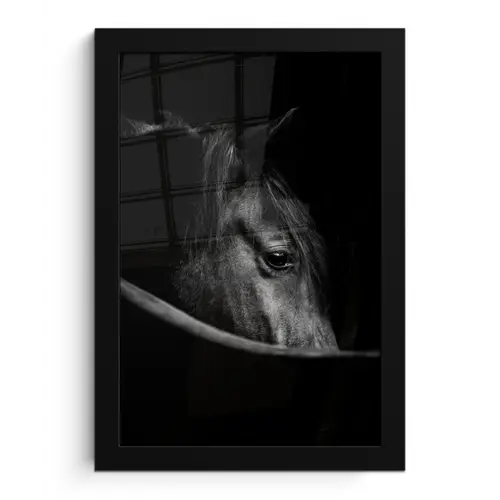 Paarden - Portret - Zwart - Dieren fotolijst zwart zonder passe partout klein -3d