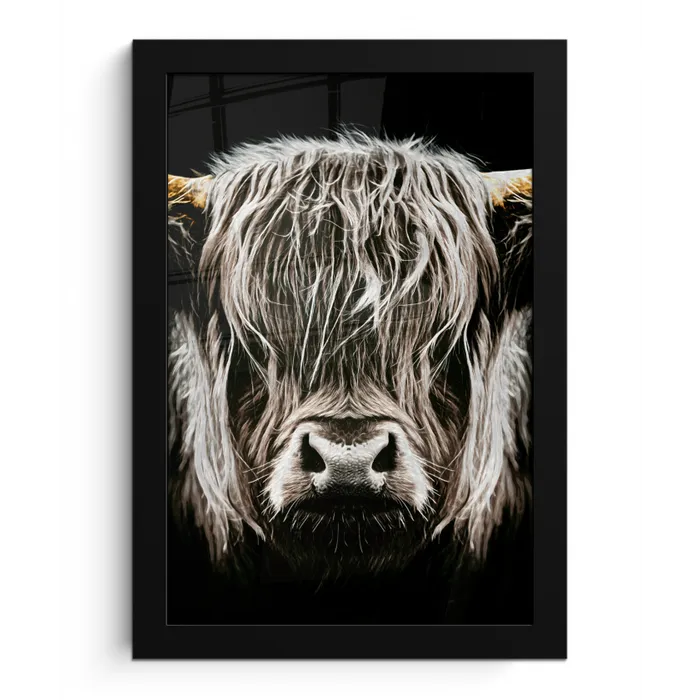 Schotse hooglander - Goud - Hoorns - Zwart wit - Koe - Dieren fotolijst zwart zonder passe partout klein -3d
