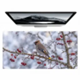 Pestvogel - Bessen - Winter - Natuur Muismat XXL klein -zzz3d