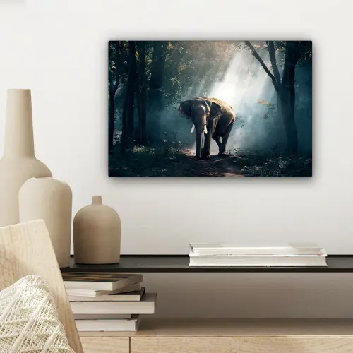 Olifant - Dieren - Licht - Bos - Natuur - Wilde dieren canvas 2cm klein -sfeer6