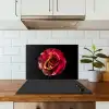Bloem - Roos - Rood - Zwart keuken achterwand spatscherm klein -sfeer2