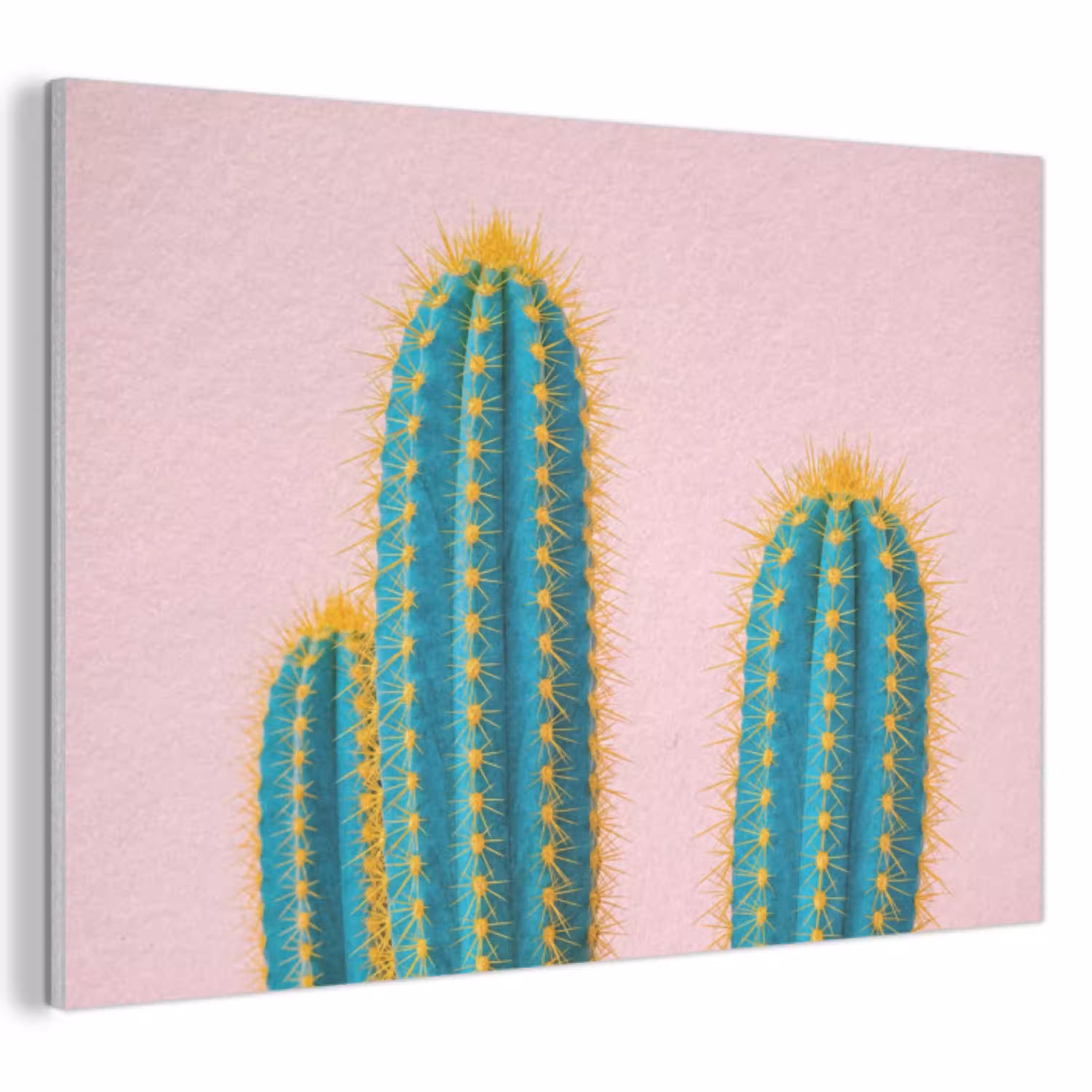 Cactussen - Modern - Pastel PET vilt klein -3d