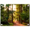 Bos - Pad - Bomen - Groen - Zon - Natuur tuinposter los doek klein -3d