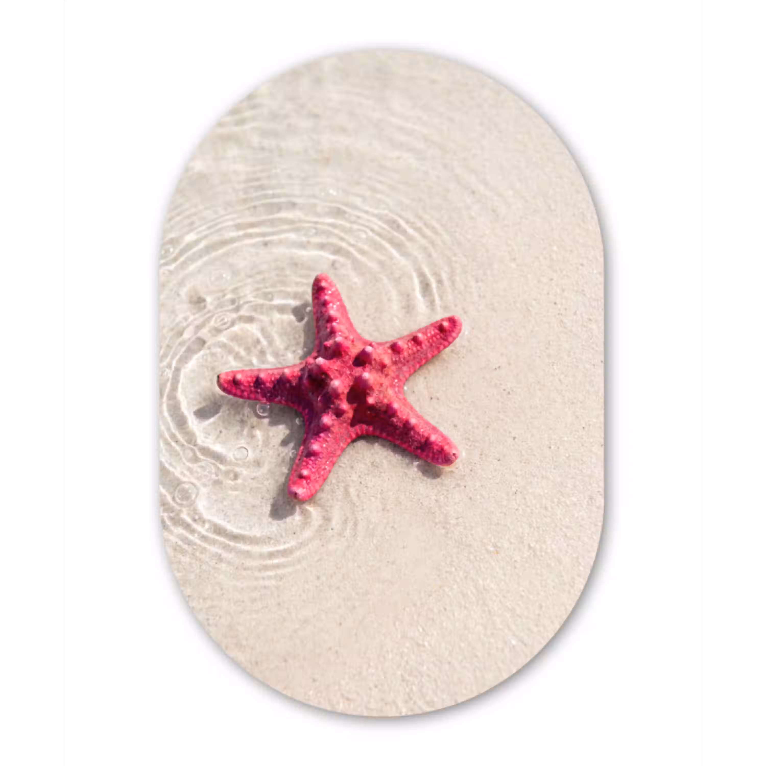 Zeeleven - Zeester - Strand - Roze - Water Wandcirkel Ovaal Aluminium middel -3d