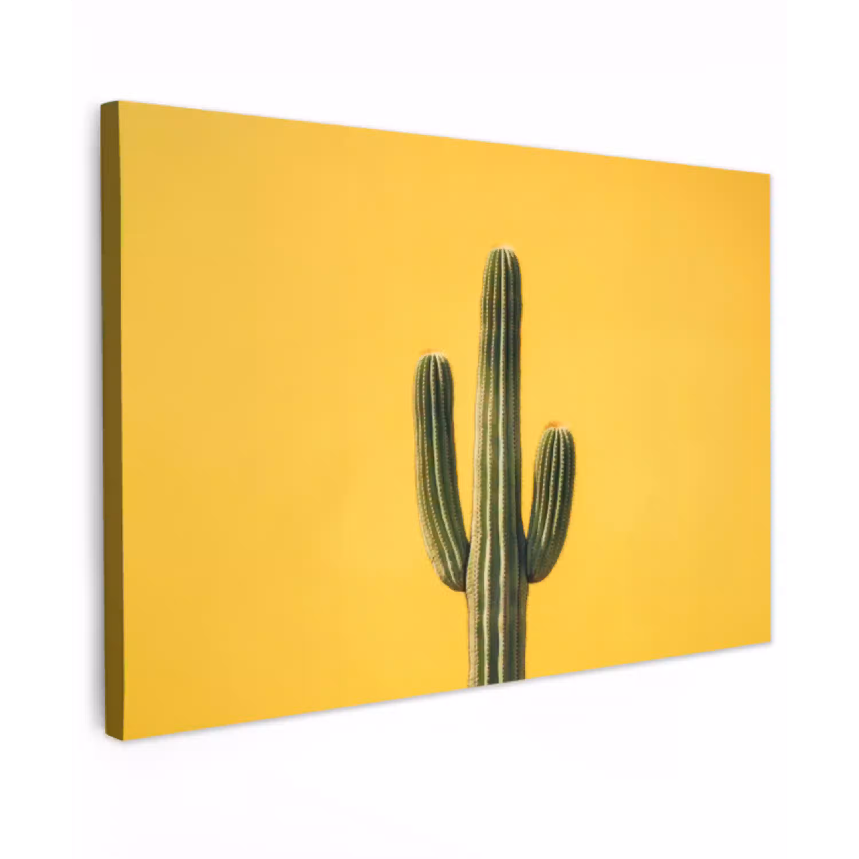 Cactus - Groen - Minimalistisch canvas 2cm klein -z3d