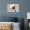 Katoenbol - Minimalistisch - Wit poster papier klein -sfeer2