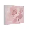 Bloem - Pioenroos - Roze PET vilt klein -3d