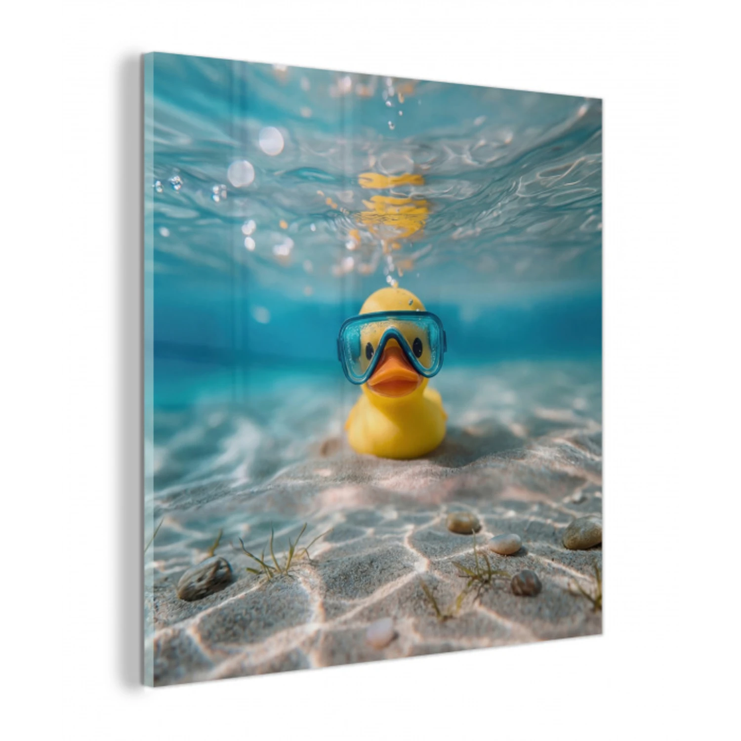 Duikbril - Eend - Water plexiglas 5mm klein -z3d