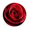 Rood - Roos - Romantisch Wandcirkel aluminium klein -3d