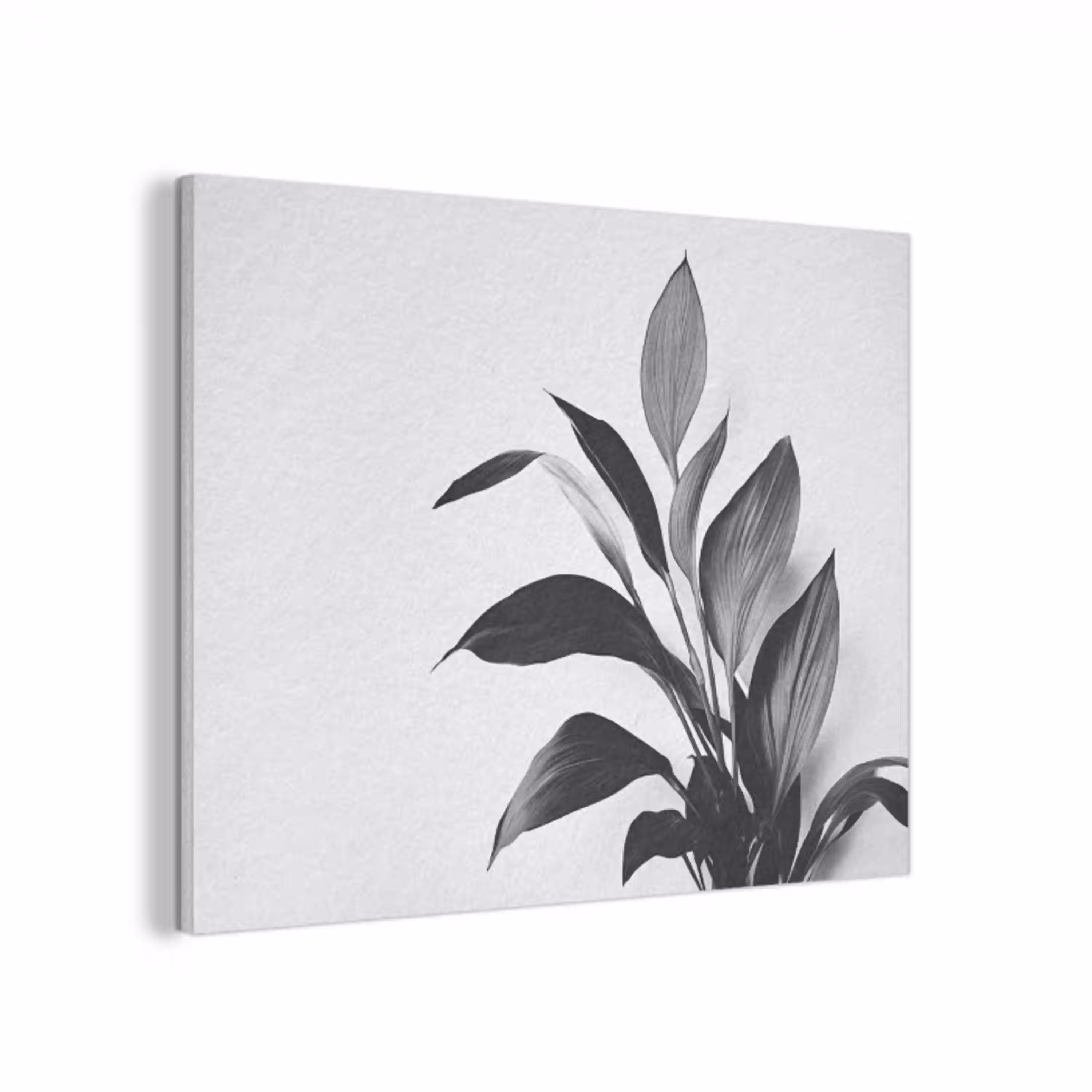 Plant - Bladeren - Minimalistisch - Zwart PET vilt klein -3d