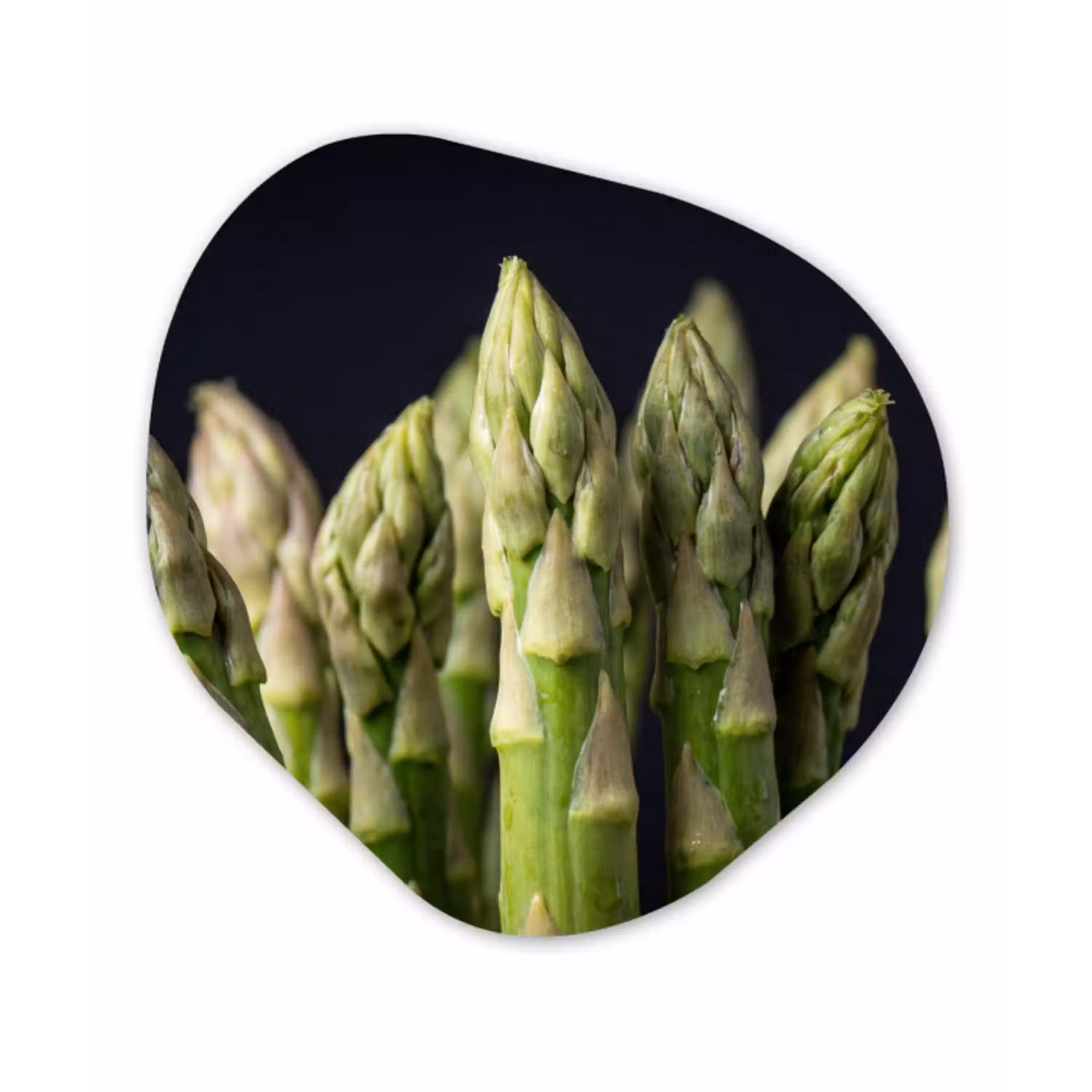 Asperges - Groen - Zwart Wandcirkel Organisch Aluminium middel -3d