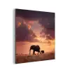 Olifanten - Grasland - Zonsondergang aluminium wit klein -3d