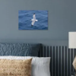 Zeemeeuw - Oceaan - Blauw poster papier klein -sfeer2