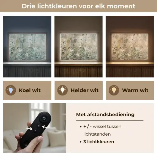 Bloemen - Bladeren - Abstract - Modern Light Box met batterij (Wandlamp) middel -USP_lichtkleurNL