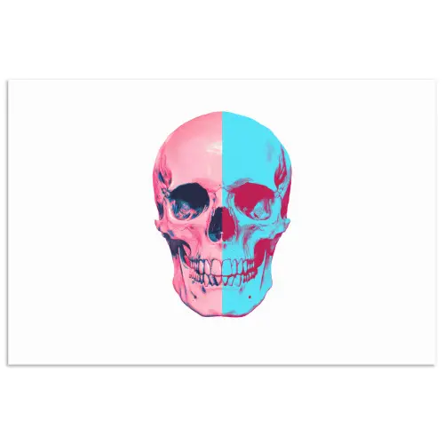 Schedel - Grafisch - Roze - Verdeeld poster papier klein -3d