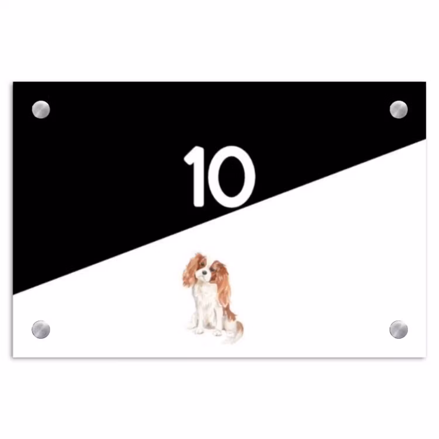 Naambordje voordeur - Rechthoek - Zwart wit - Huisdier - Cavalier King Charles Spaniël
